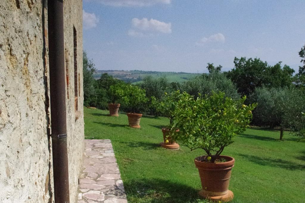 Agriturismo Cerreto Pienza Exterior foto